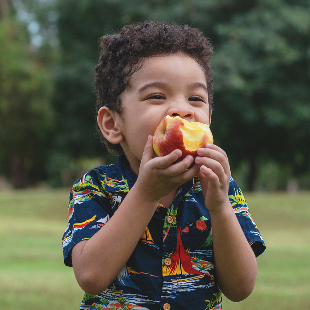 Delicious & Nutritious Meals & Snacks For Growing Minds